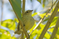 Parque Federal Campo San Juan
